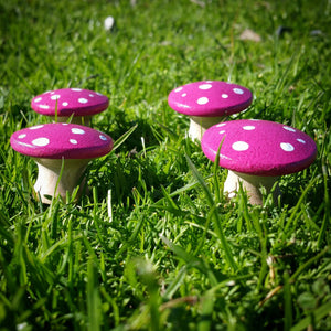 Blue fairy toadstools