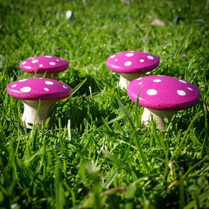 Pink fairy mushrooms Wildflower toys