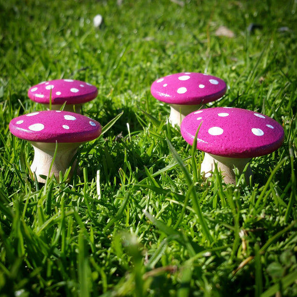 Pink fairy mushrooms Wildflower toys