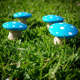 Blue fairy toadstools